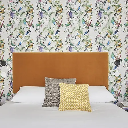 Choice Prime Alfama Daire *